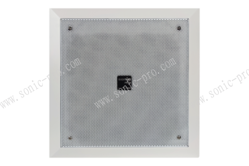 甘肃CX-6.5XD  音箱