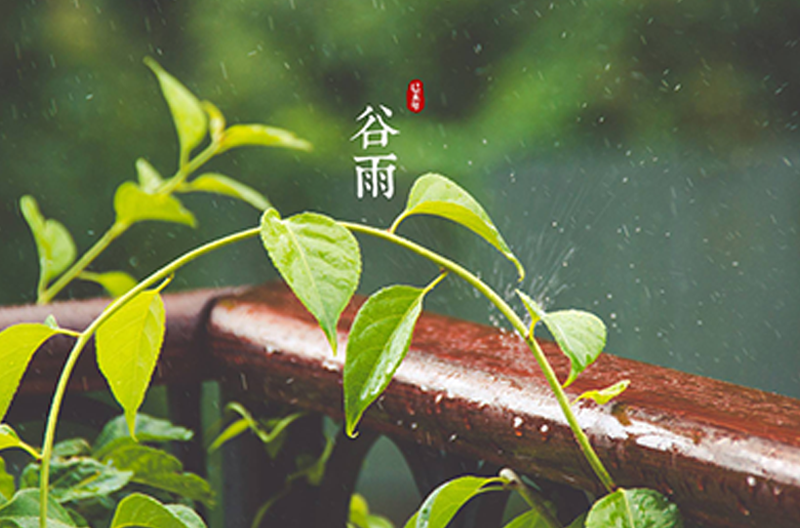甘肃谷雨时节丨万物生长